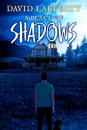 A Place of Shadows poster