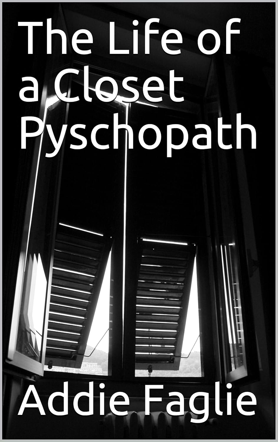 The Life of a Closet Pyschopath poster