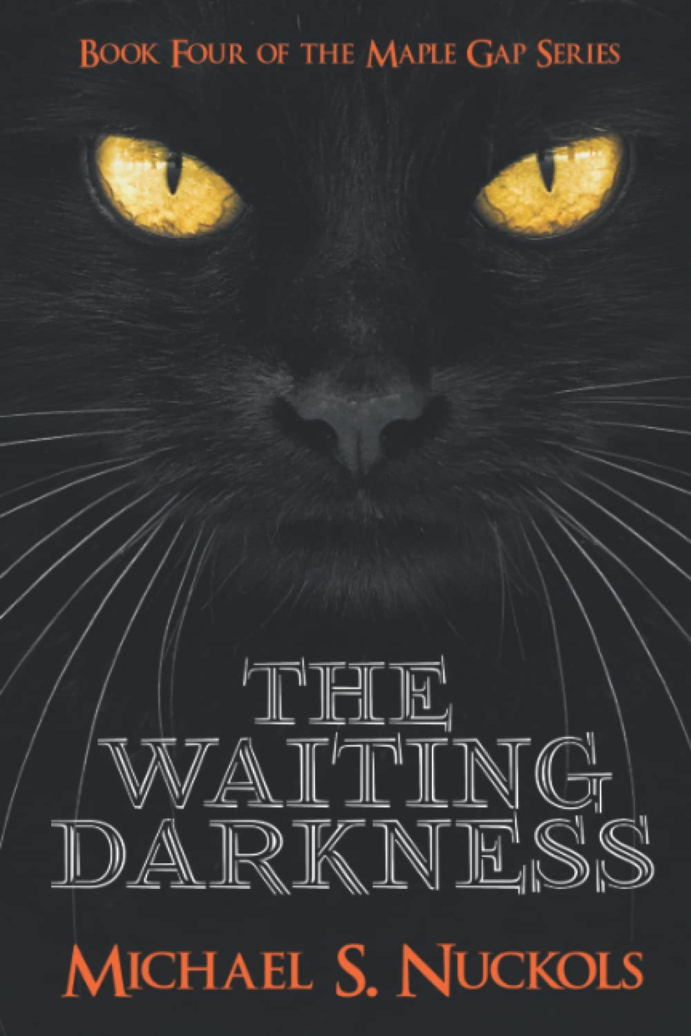 The Waiting Darkness (The Maple Gap Series) poster