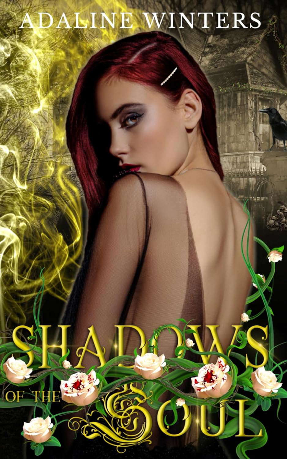 Shadows of the Soul: Cora Roberts Book 2 poster