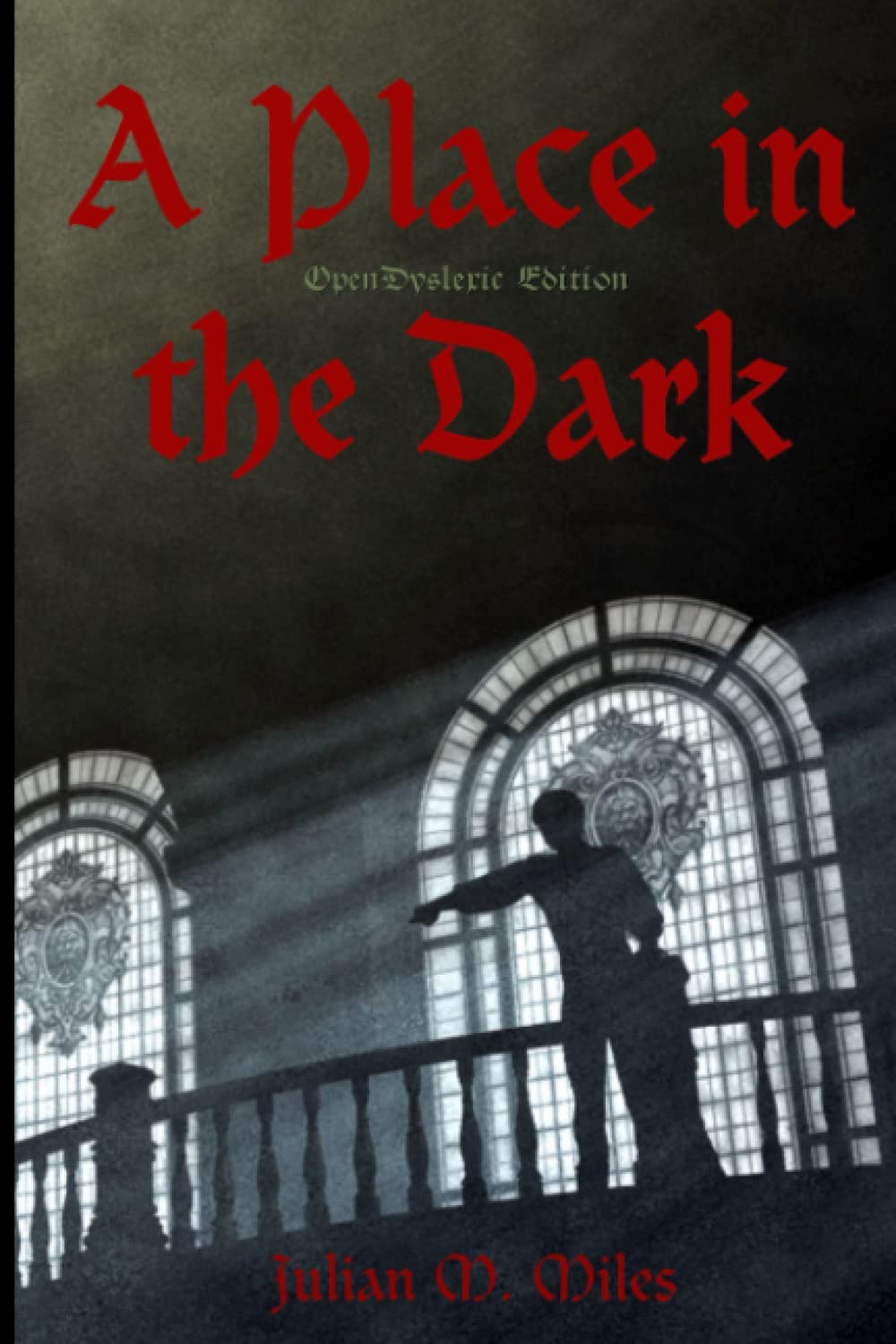 A Place in the Dark - OpenDyslexic Edition poster