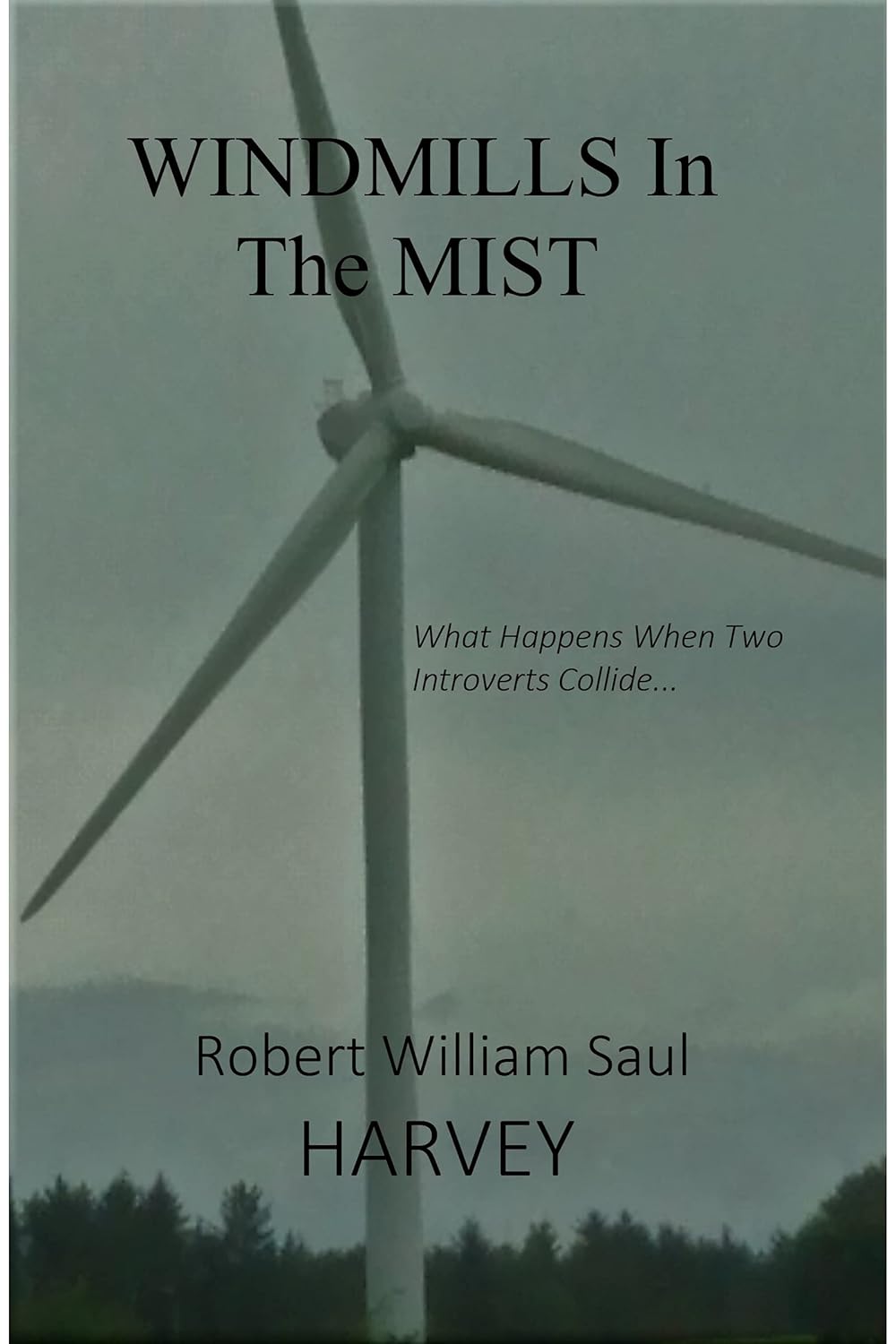 Windmills in the Mist - What happens when two introverts collide? poster