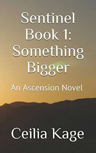 Sentinel Book 1: Something Bigger: An Ascension Novel poster