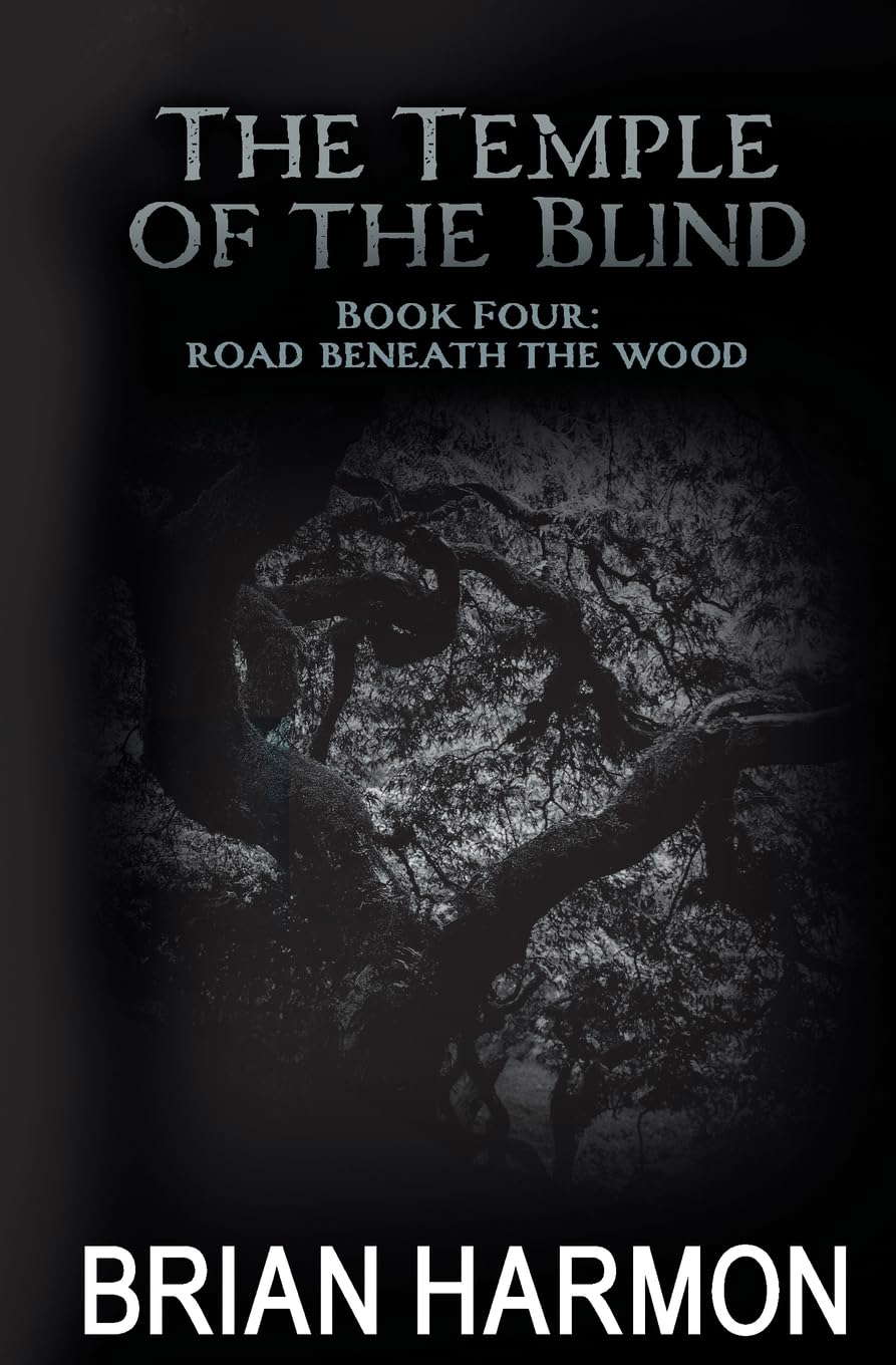 Road Beneath the Wood: The Temple of the Blind #4 poster