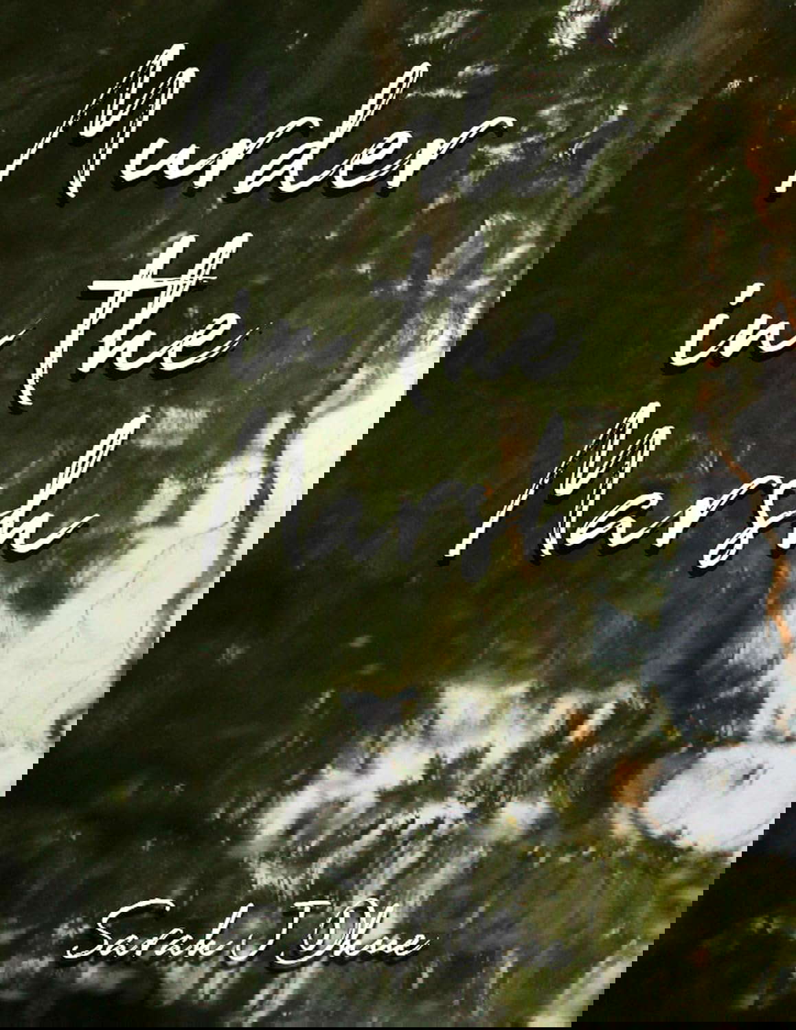 Murder in the Marsh poster
