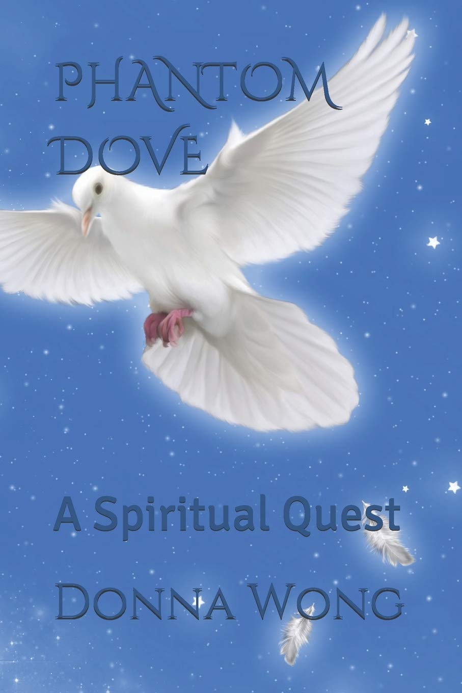 PHANTOM DOVE: A Spiritual Quest poster