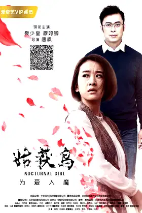 Nocturnal Girl poster