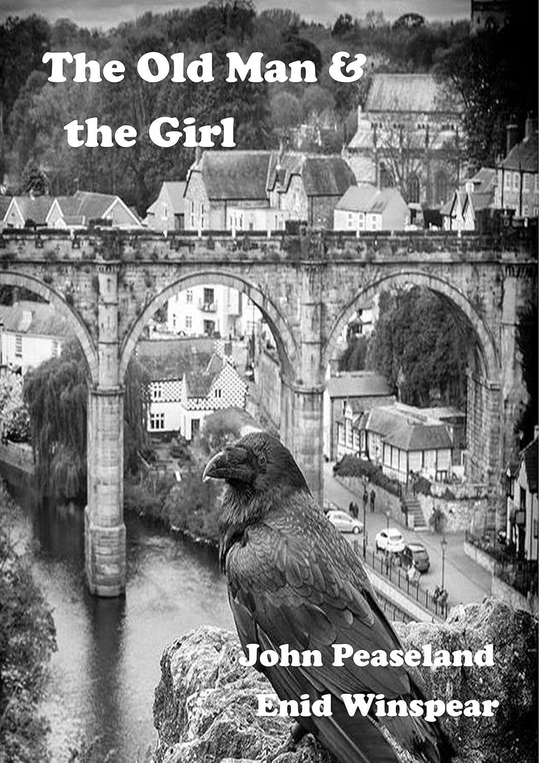 The Old Man and the Girl poster