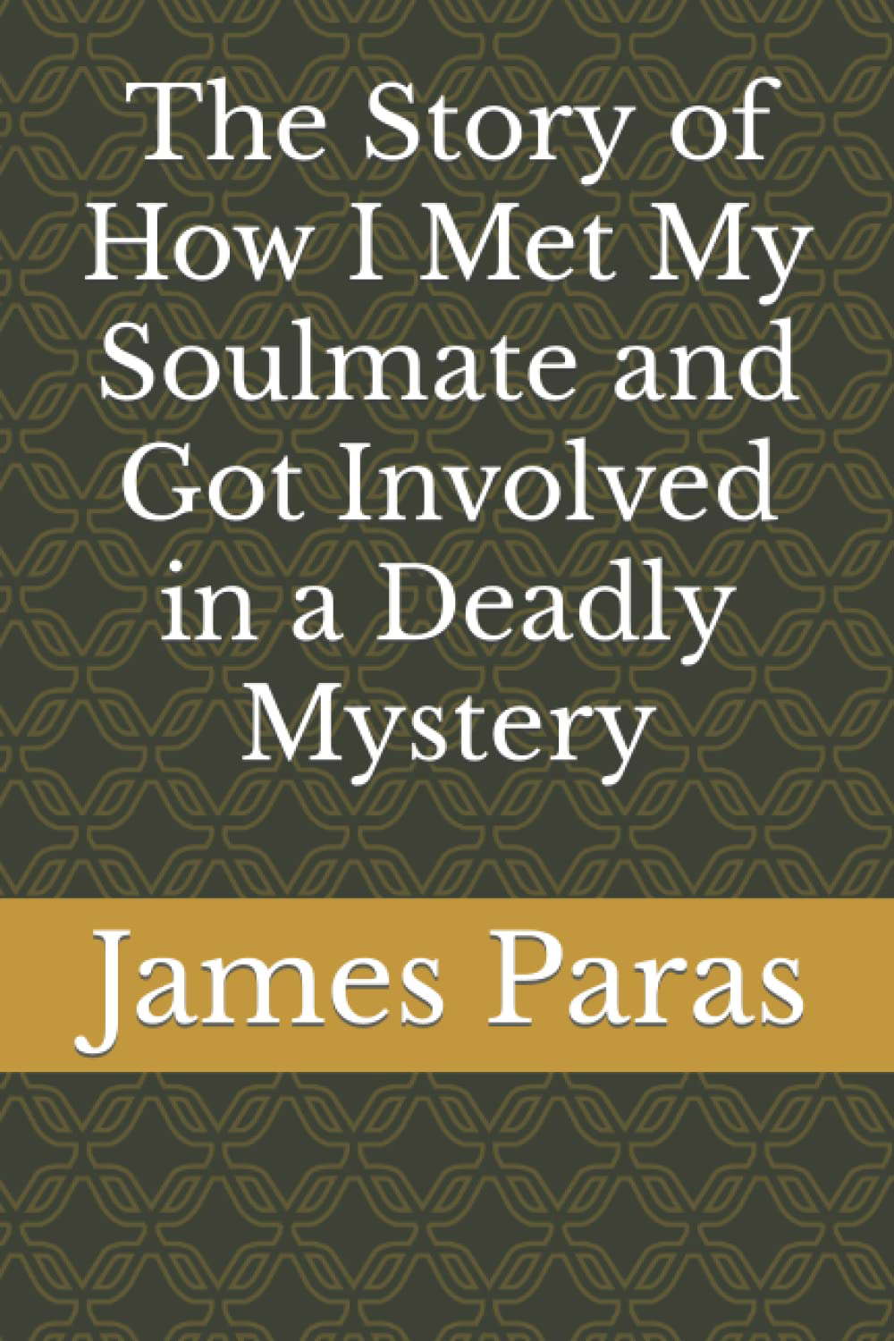 The Story of How I Met My Soulmate and Got Involved in a Deadly Mystery poster