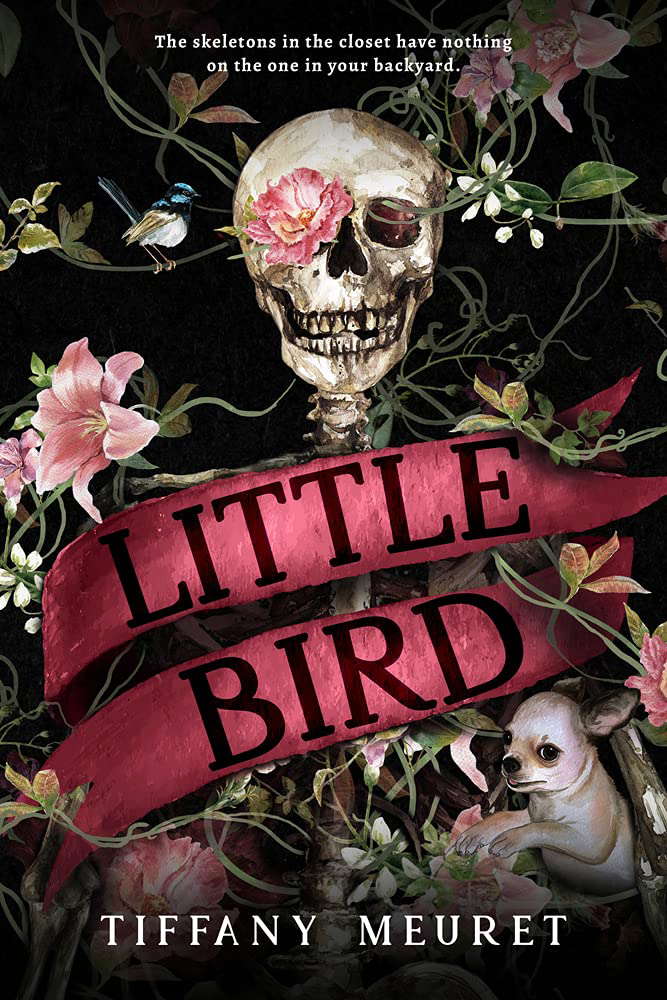 Little Bird poster