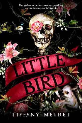 Little Bird poster