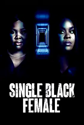 Single Black Female poster