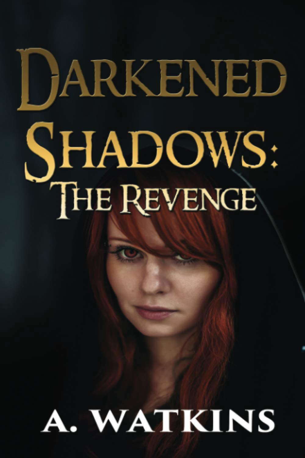 Darkened Shadows: The Revenge poster