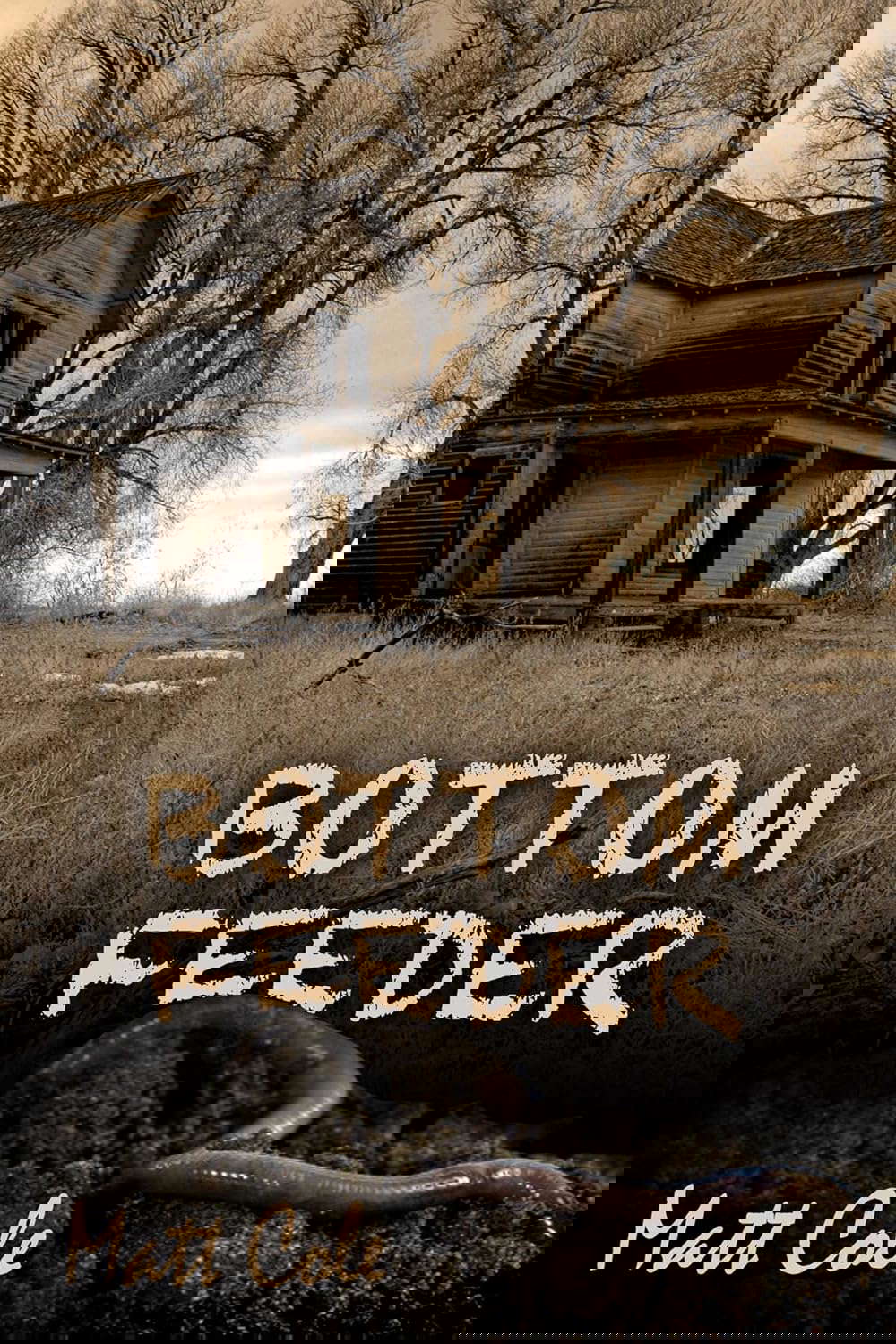 Bottom Feeder poster