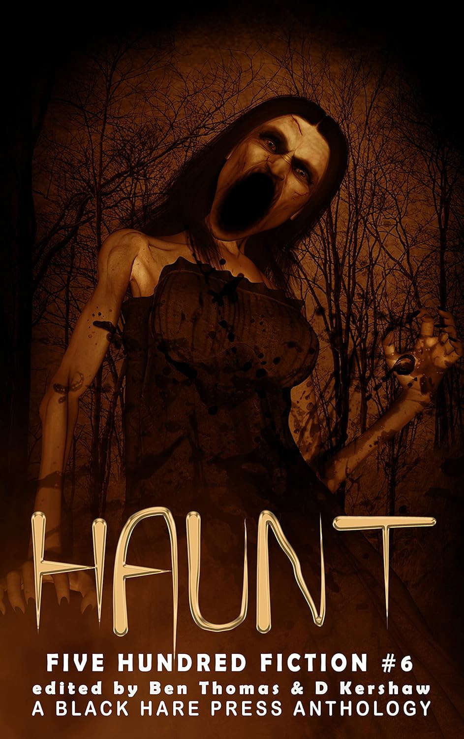 Haunt: A Supernatural Anthology (Five Hundred Fiction Book 6) poster