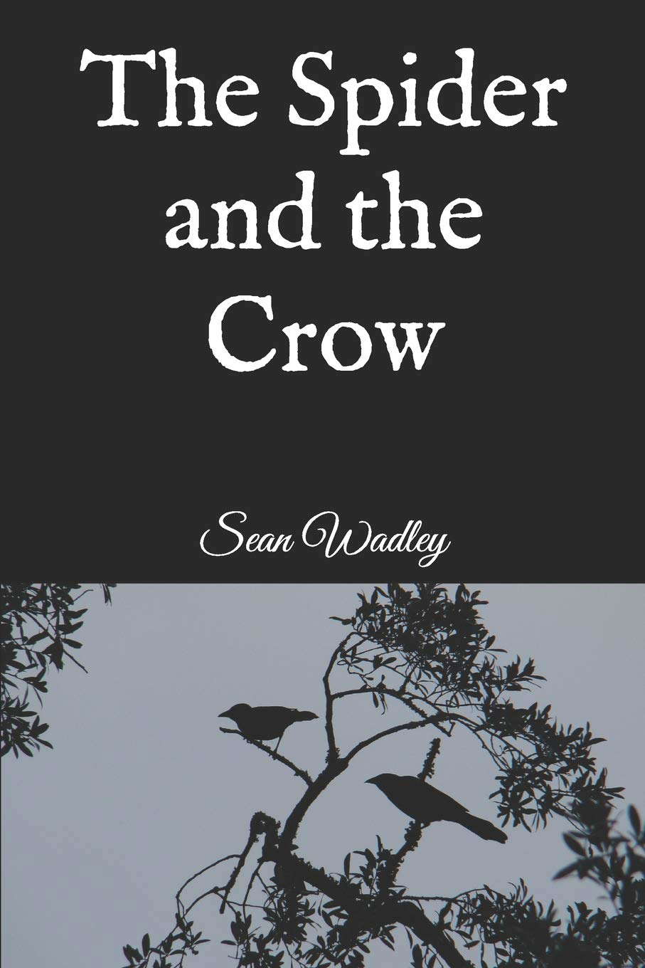 The Spider and the Crow poster