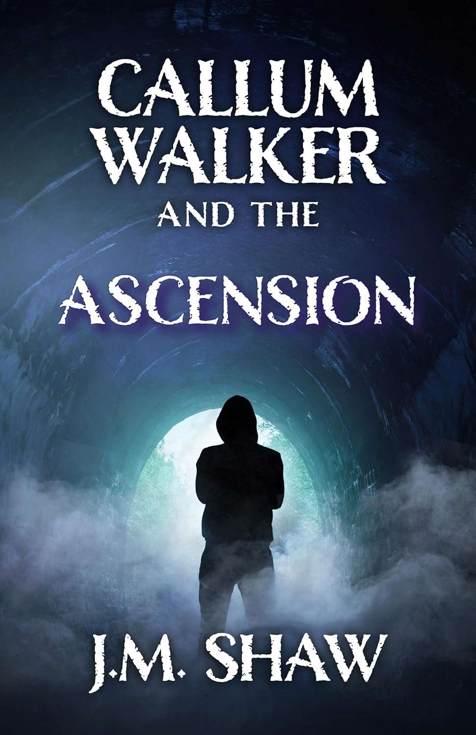 The Ascension poster