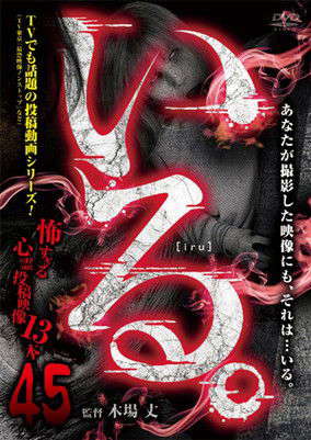「Iru.」~ Kowasugiru Tōkō Eizō 13-hon ~ Vol.45 poster