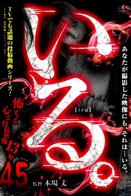 「Iru.」~ Kowasugiru Tōkō Eizō 13-hon ~ Vol.45 poster