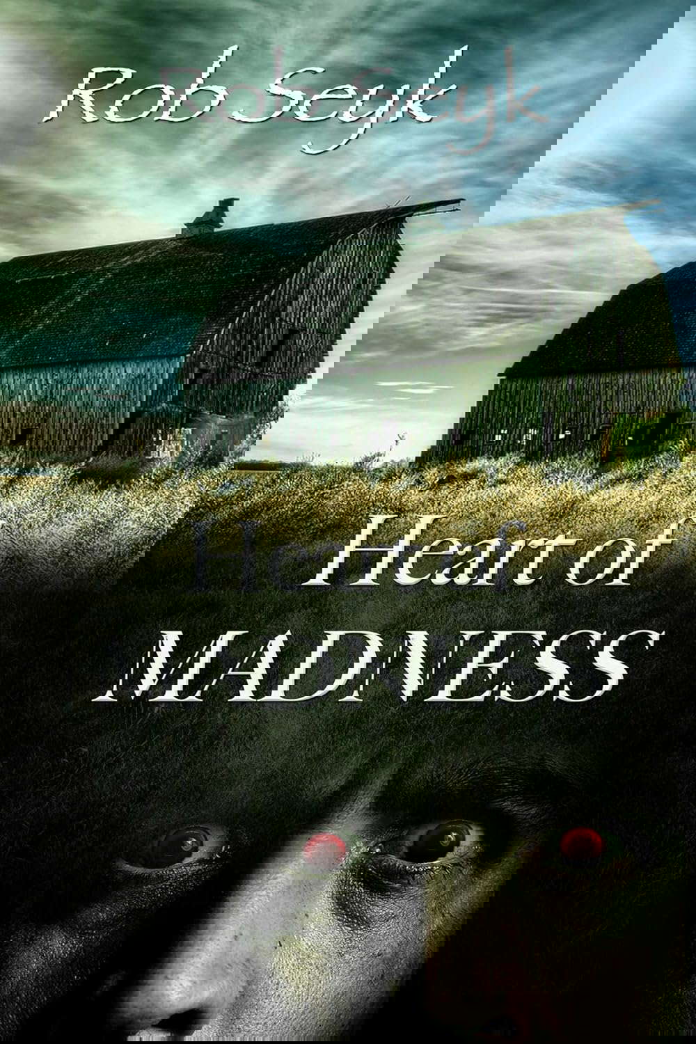 Heart Of Madness poster