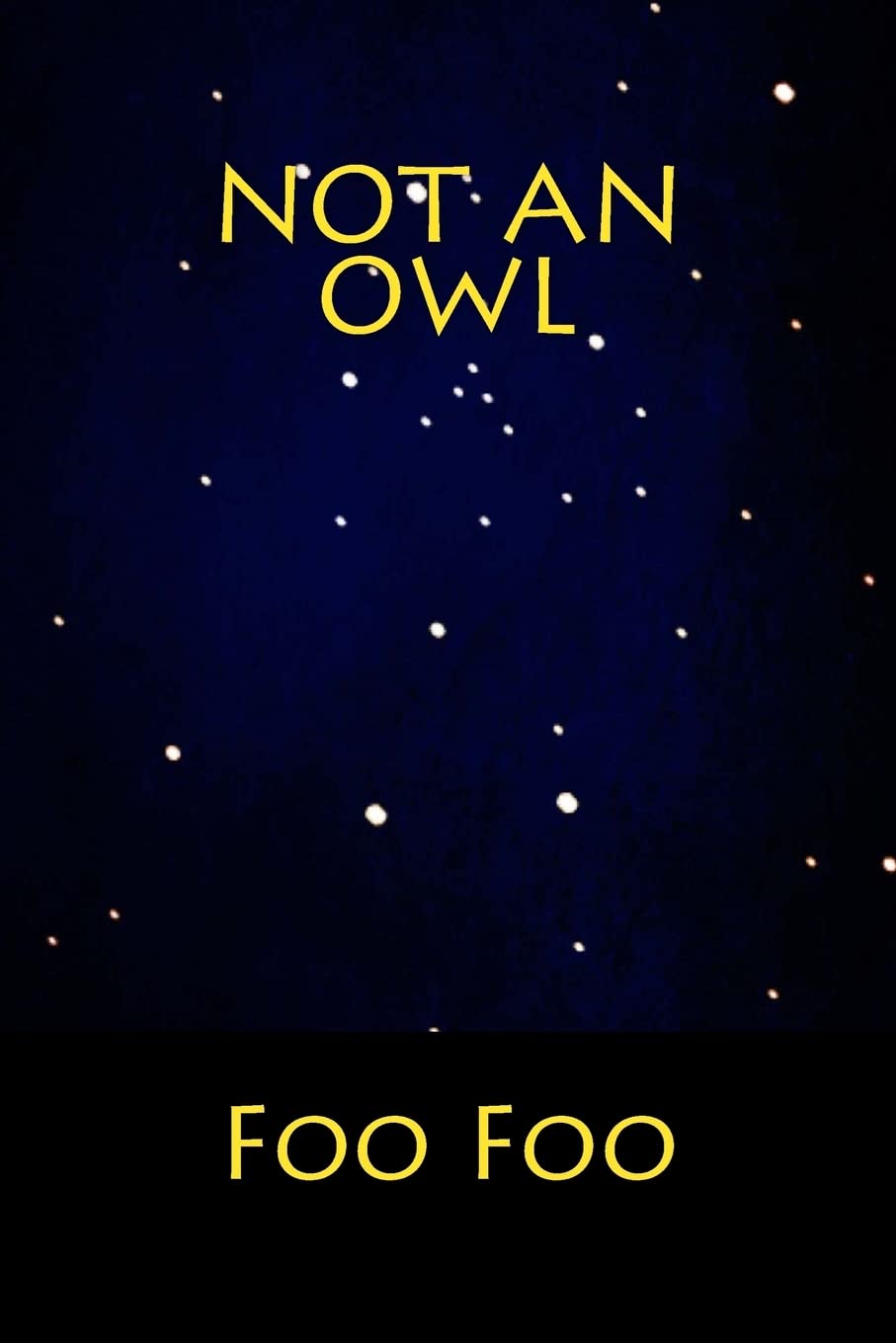 Not an Owl poster