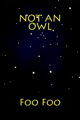 Not an Owl poster