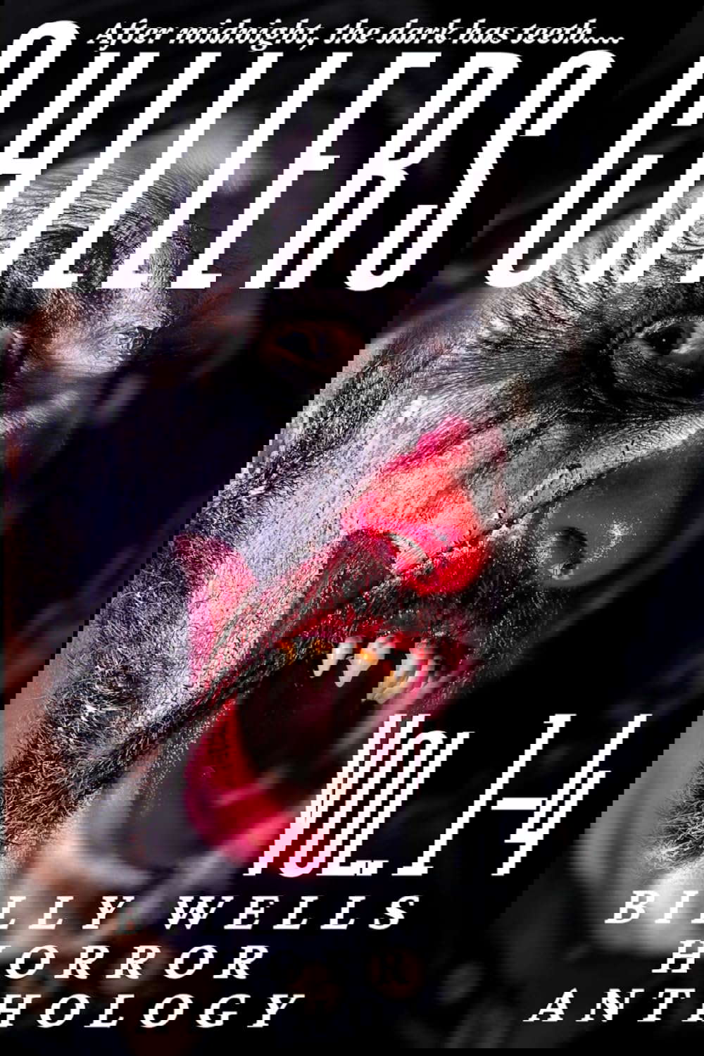 Chillers- Volume 1-4 poster