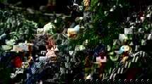 episode poster