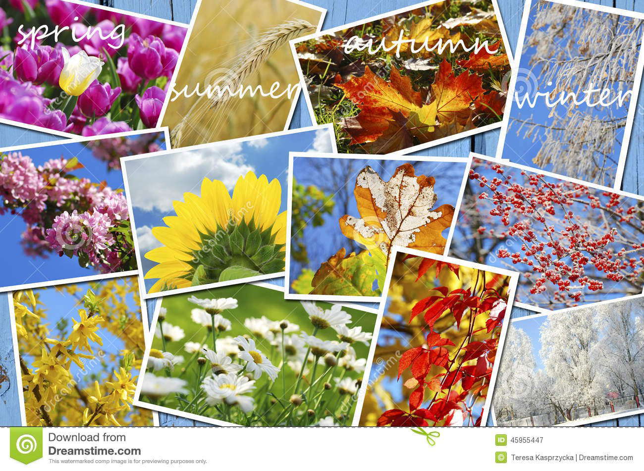 The seasons of our life.: dark and light poems and a book of shadows poster