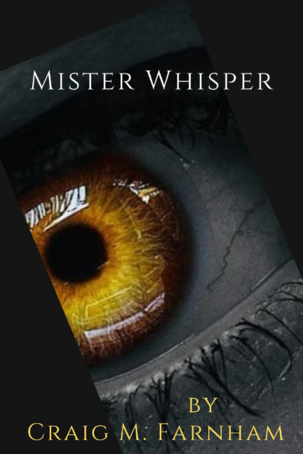 Mister Whisper poster