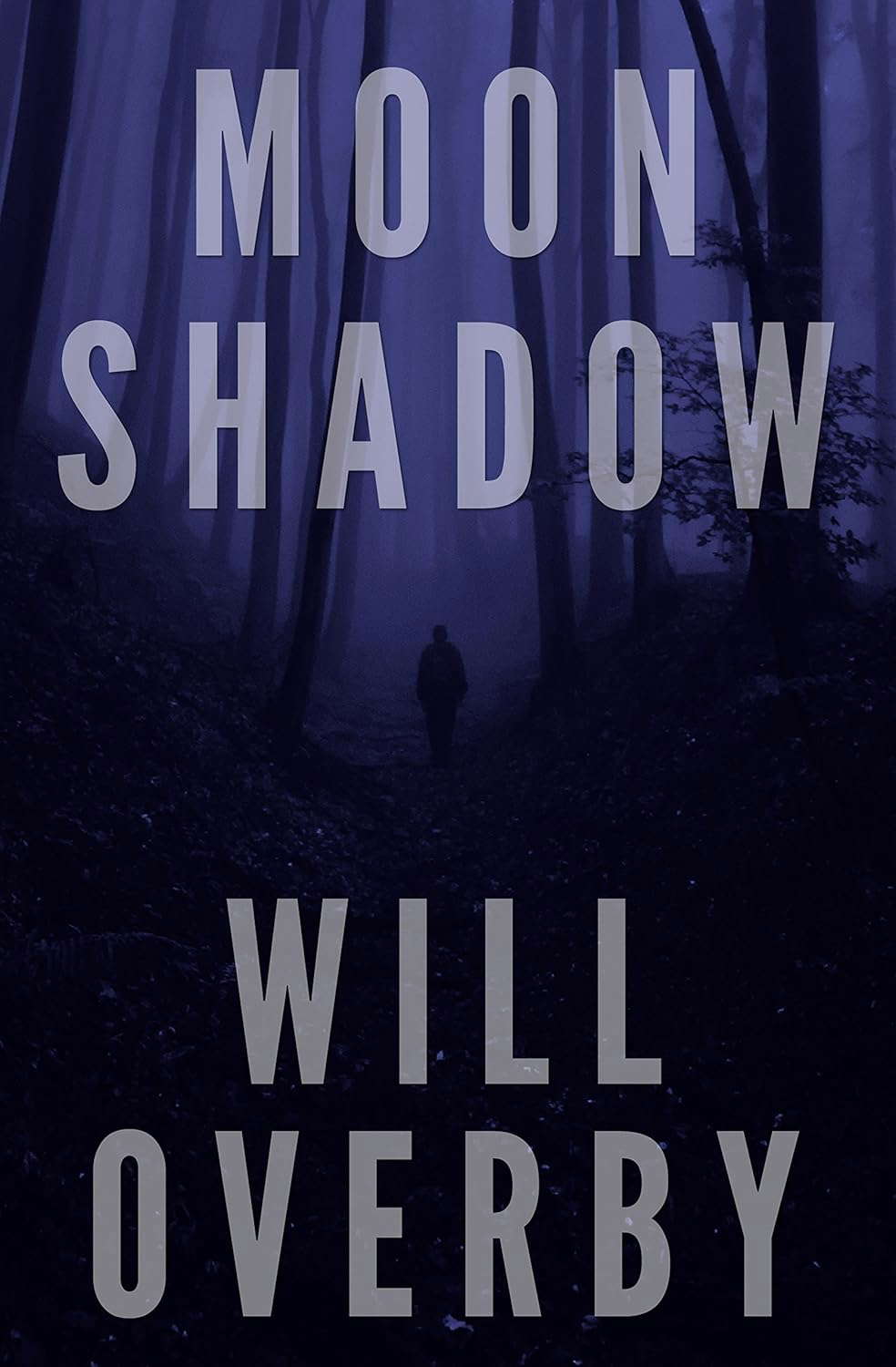 Moon Shadow poster