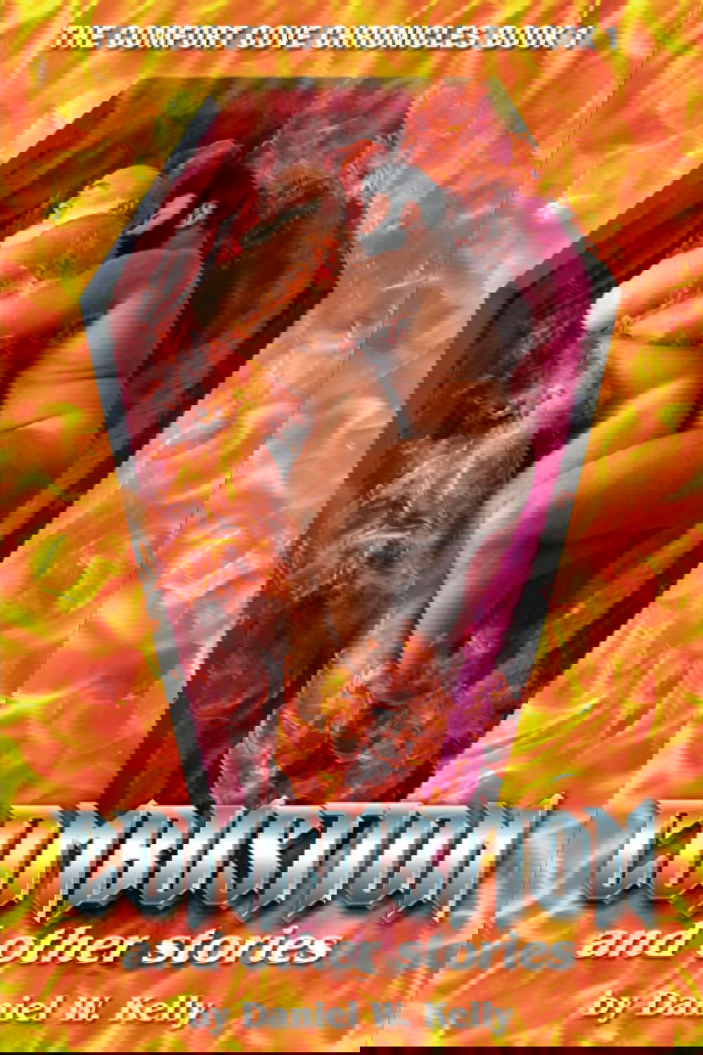 Combustion and Other Stories: Comfort Cove Chronicles Book 1 poster