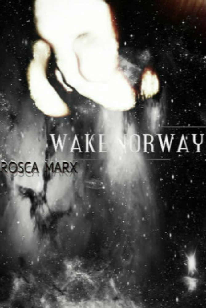 Wake Norway poster