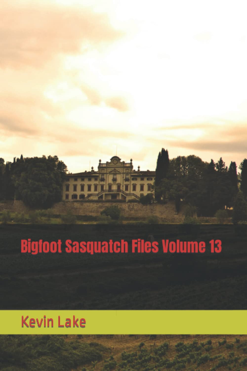 Bigfoot Sasquatch Files Volume 13 poster