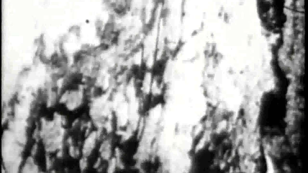 Poster for Begotten