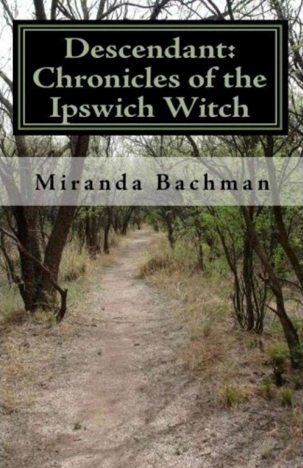 DESCENDANT: Chronicles of the Ipswich Witch poster