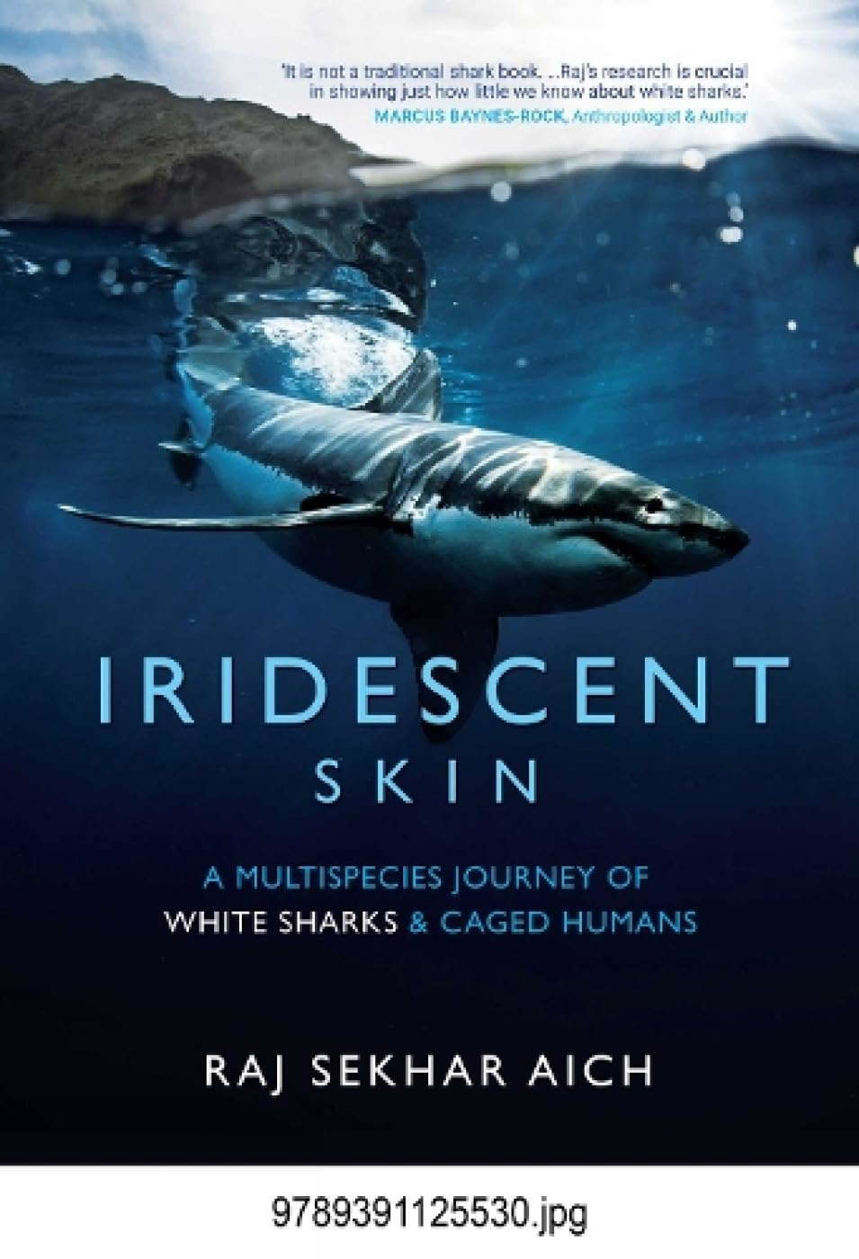 Iridescent Skin poster