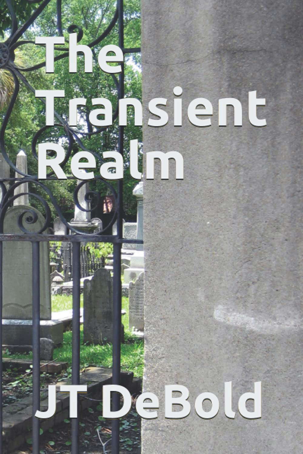The Transient Realm poster