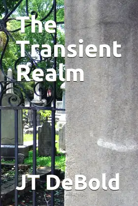 The Transient Realm poster