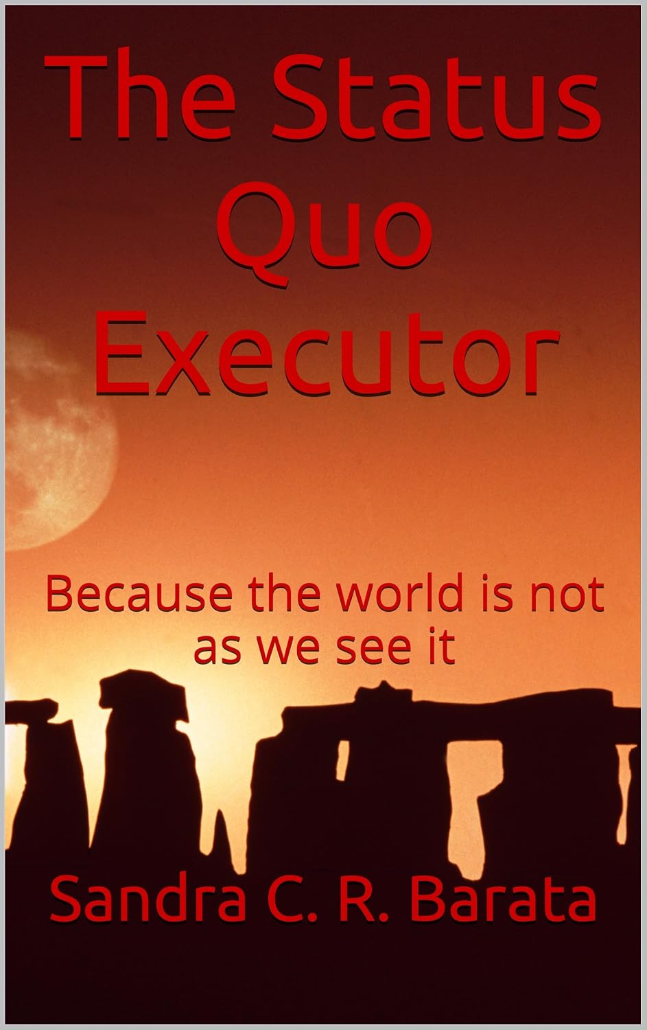 The Status Quo Executor: Because the world is not as we see it poster