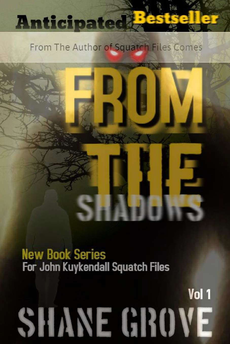 From The Shadows poster