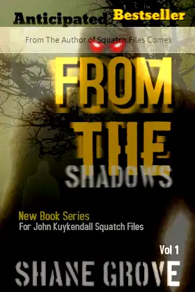 From The Shadows poster