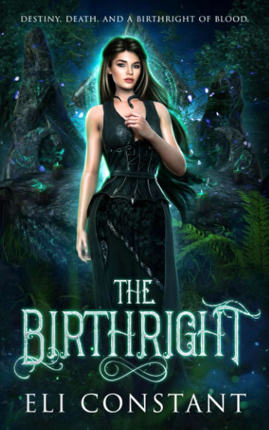 The Birthright: An Urban Fantasy Novel poster