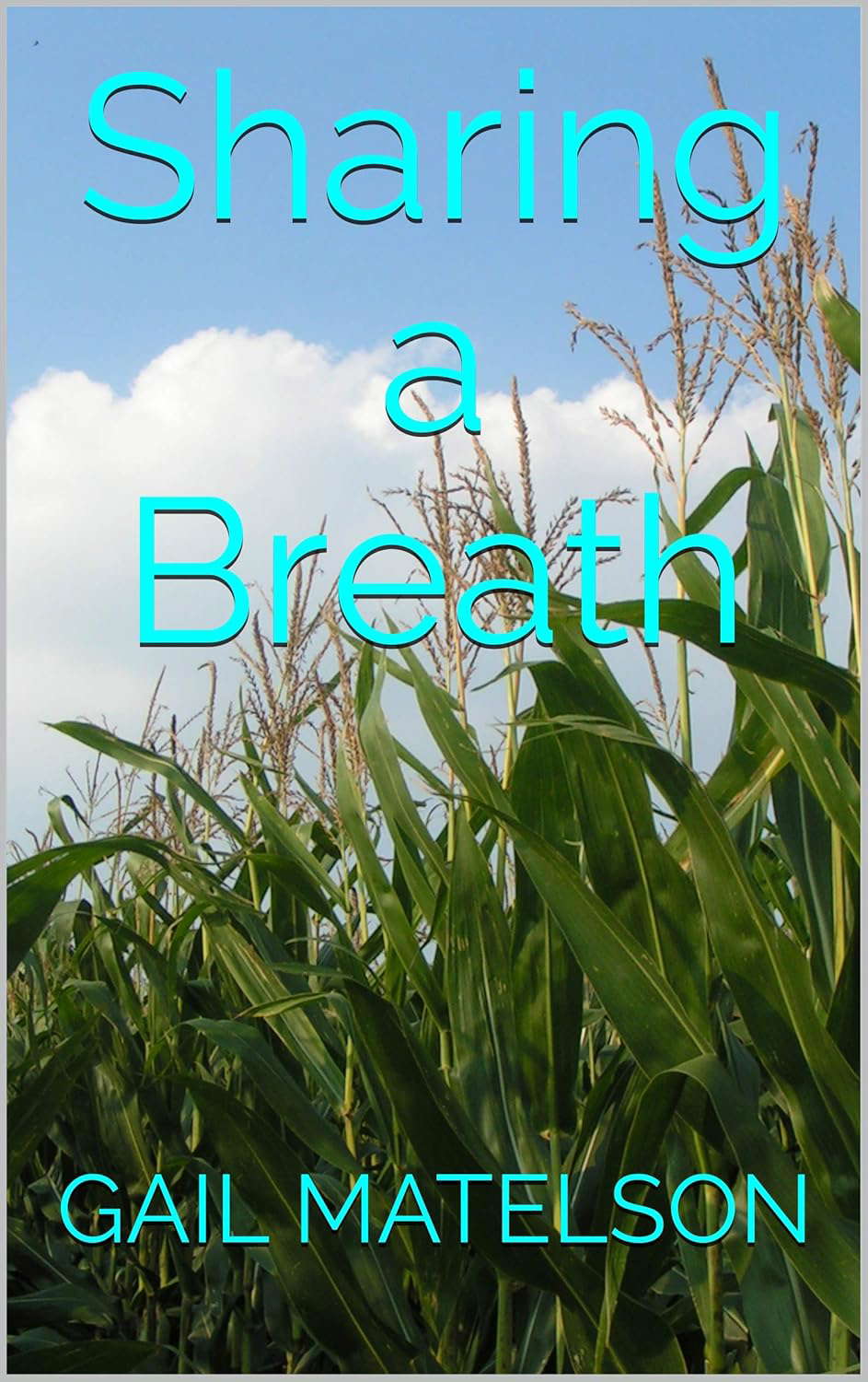 Sharing a Breath: A Ghostly Mystery with a Fun Twist poster