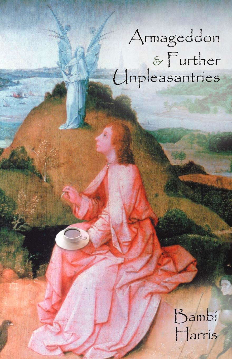 Armageddon and Further Unpleasantries: The Afterlife Series poster