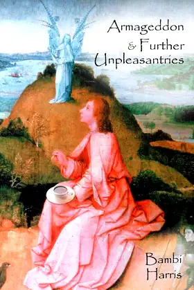 Armageddon and Further Unpleasantries: The Afterlife Series poster