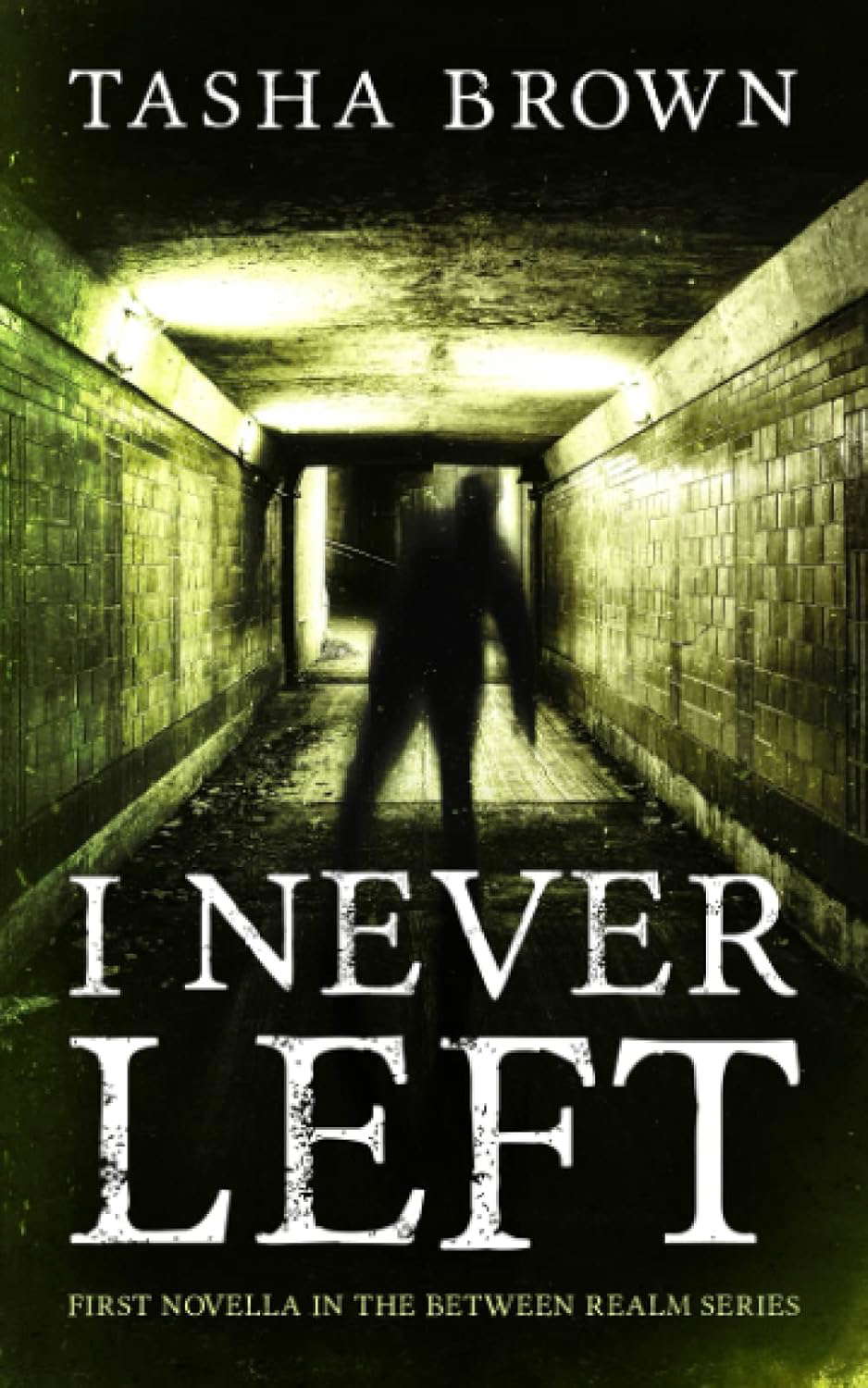 I Never Left: First Novella in the Between Realm series poster