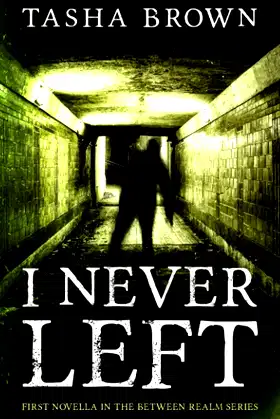 I Never Left: First Novella in the Between Realm series poster