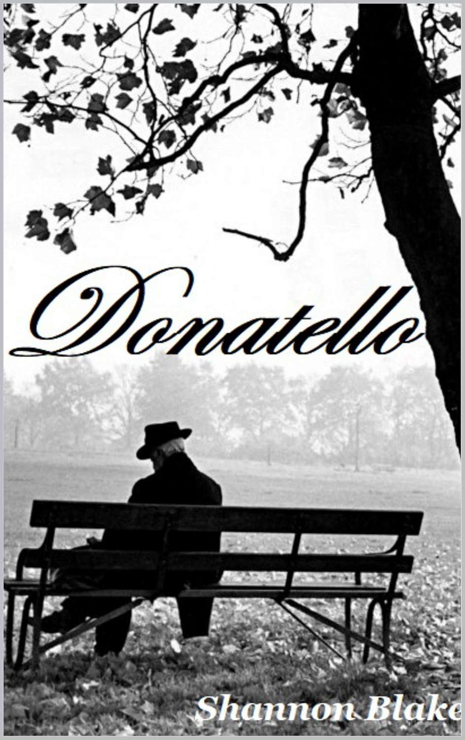 Donatello poster