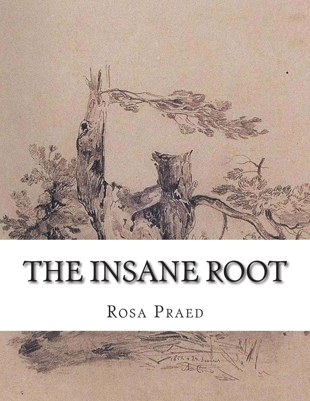 The Insane Root poster
